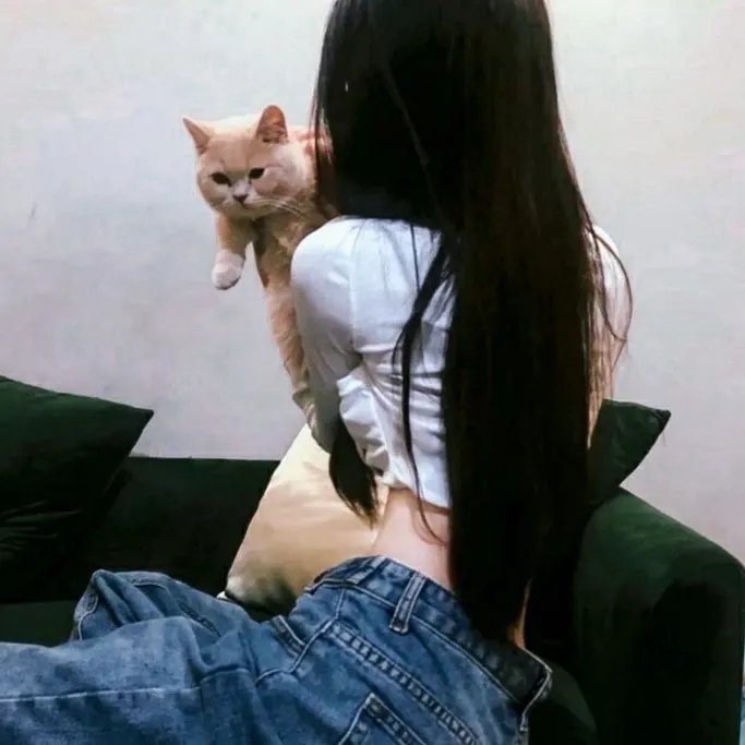 阳光下的法庭