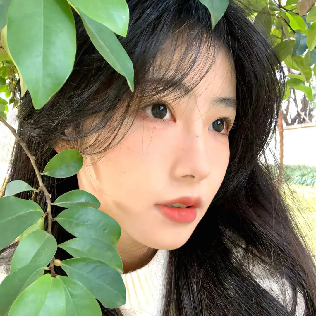 敌特在行动